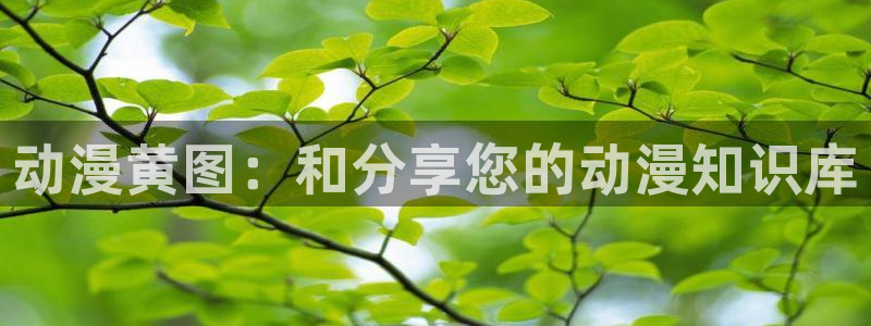 动漫岛官网