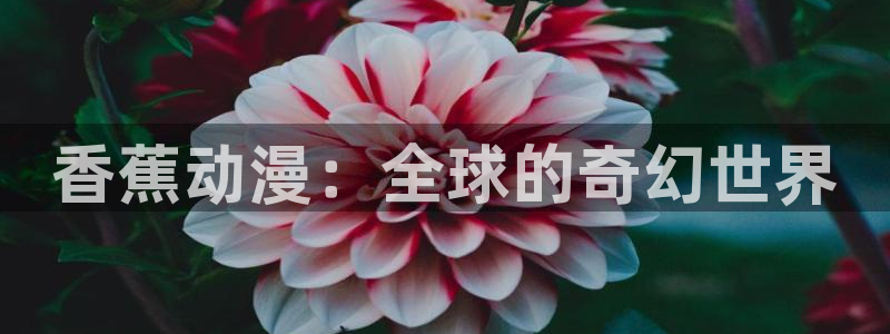 恶魔动漫岛