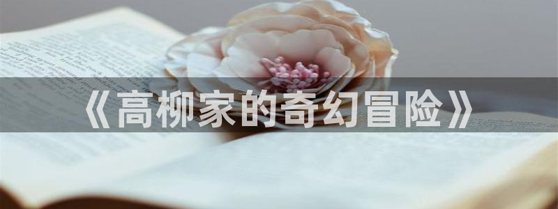 动漫岛h：《高柳家的奇幻冒险》