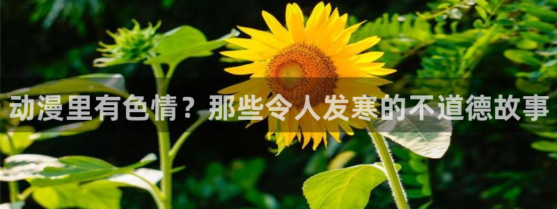 政宗君的复仇动漫岛：动漫里有色情？那些令人发寒的不道德故事